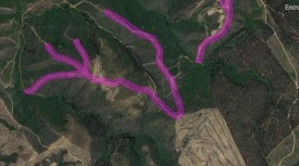 Faixas de Gestão de Combustível para Prevenção Estrutural em Áreas Estratégicas